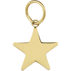 Edblad Charmentity Star Charm - Gold