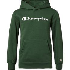 Champion Hooded Sweatshirt Rain Forest Unisex Verde