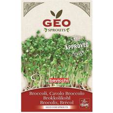 Krukker, Planter & Dyrkning Geo Organic Broccoli Seeds Frø