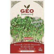 Broccoli Geo Organic Broccoli Seeds