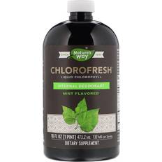 Vitamins & Supplements Nature's Way Chlorofresh Liquid Chlorophyll Mint 16 fl oz