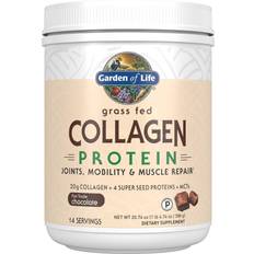 Suklaa Lisäravinteet Garden of Life Collagen Protein Chocolate 588g