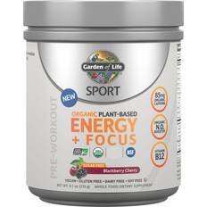 Garden of Life Sport Organic Plant-Based Energy Sugar Free Blackberry Cherry 231g