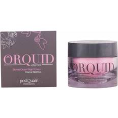 Natcreme Orquid Eternal Night