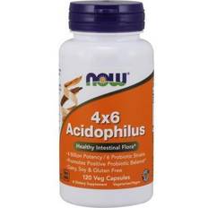 Vitamins & Supplements Now Foods Acidophilus 4X6 120 vcaps