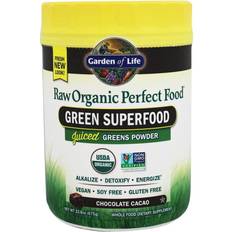 Perfect food raw organic Garden of Life Raw Organic Perfect Food Green SuperFood Chocolate 20.1 oz