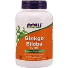 Vitamins & Supplements Now Foods Ginkgo Biloba Double Strength 120mg 200 vcaps