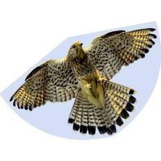Drachen Günther Flugspiele Guenther Flugspiele Single line Kite FALCON Wingspan 920 mm Wind speed range 3 6 bft