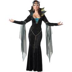 Orion Costumes Wicked Witch Carnival Costume