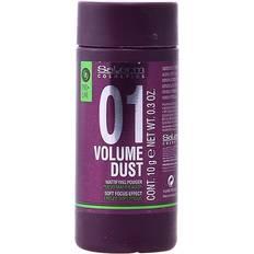 Volumizzatori Salerm Volumising Treatment Volume Dust 10g