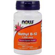 Now Foods Methyl B-12 1000mcg 100 Stk.