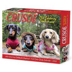 Willow Creek Press Crusoe the Celebrity Dachshund 2022 Box Calendar, Daily Desktop