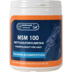 Msm 500g Eclipse Biofarmab Msm 100 500g