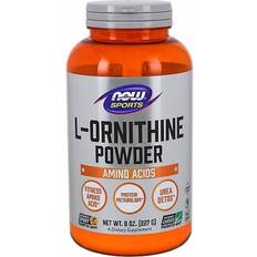 L ornithine Now Foods Sports L-Ornithine 8 oz