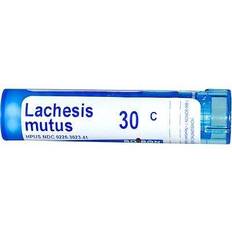 Boiron Vitamine e Integratori Boiron Lachesis mutus 30C 80 Pellets