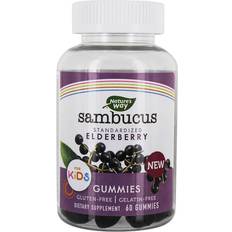 Gummy vitamins for kids Nature's Way Sambucus Elderberry Gummies for Kids 60