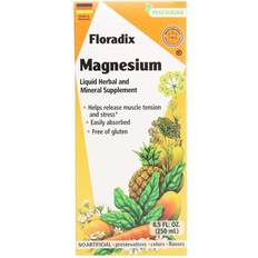 Floradix Vitamins & Minerals Floradix Magnesium Liquid 8.5 fl oz