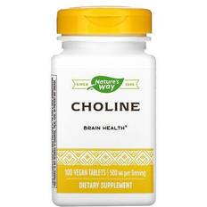 Choline Nature's Way Choline 500 mg. 100 Tablets