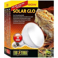 Exo Terra Solar Glo/Sun Simulating Bulb 80W