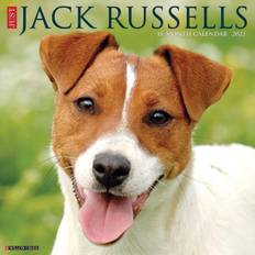 Just Jack Russells 2022 Wall Calendar