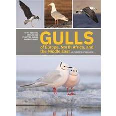 Gulls of Europe, North Africa, and the Middle East (Häftad)