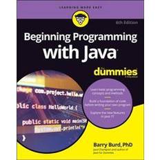 Beginning Programming with Java For Dummies (Paperback)