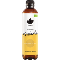 Organic Kombucha Ginger & Lemon
