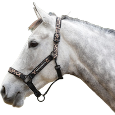 Weatherbeeta Leopard Headcollar