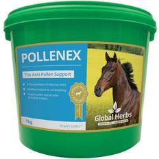 Global Herbs PolleneX 500g