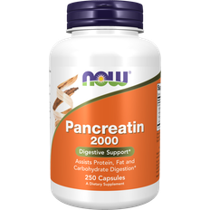 Now Foods Pancreatin 2000 250 Stk.