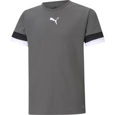 Puma TeamRISE Jersey Kids - Gray