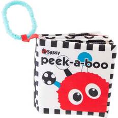 Inspire The Senses, 1 Peek-A-Boo Activity Book, 0 Months
