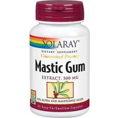 Solaray Mastic Gum 500mg 45 pcs