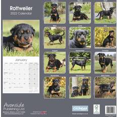 Rottweiler 2022 Wall Calendar