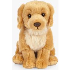 Golden Retriever Dog