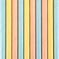 PartyDeco Straws Summer Time 10-pack