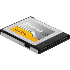 256 GB - CFexpress Hukommelseskort DeLock CFexpress 256GB