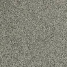 Shagreen (312907)