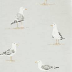 Shore Birds Gull DCOA216565
