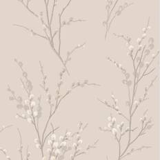 Pussy Willow (113361)