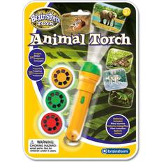 Billig Eksperimentkasser Animal Torch & Projector