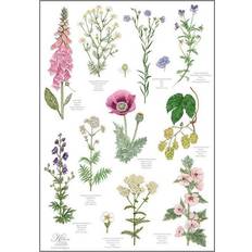 Koustrup & Co. Monastery Garden Viskestykke Multifarve (70x48cm)