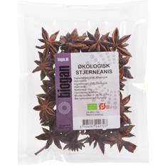 Stjerneanis Biogan Star Anise 50g