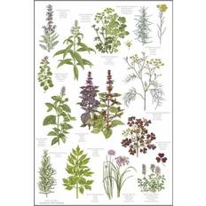 Viskestykker på tilbud Koustrup & Co. Herbs Viskestykke Multifarve (70x48cm)