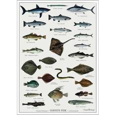 Koustrup & Co. Sea Fish Plakat 42x59.4cm