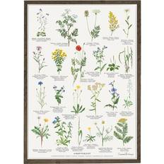 Koustrup & Co. Hedgerow Plakat 42x59.4cm