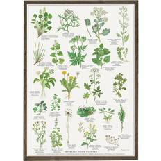 59.4 cm Plakater Koustrup & Co. Spiselige vilde Planter Plakat 42x59.4cm