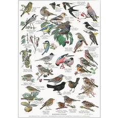 Havens fugle Koustrup & Co. Garden Birds Plakat 21x29.7cm