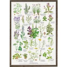 Krydderurter brugskunst Koustrup & Co. Spiced Herbs Plakat 42x59.4cm