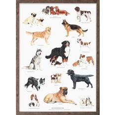 Koustrup & Co. Dog Breeds Plakat 42x59.4cm